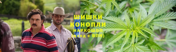 дмт Нягань