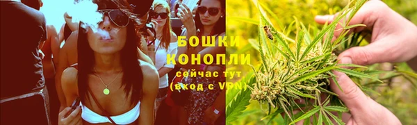 прущие крисы Няндома