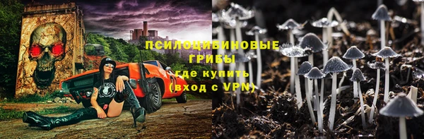 индика Нязепетровск