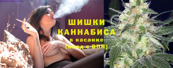 прущие крисы Няндома