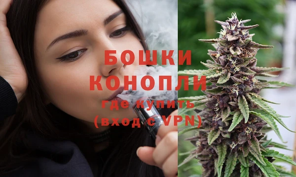 метадон Новодвинск