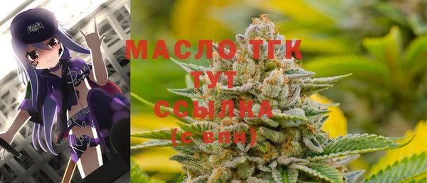 дмт Нягань