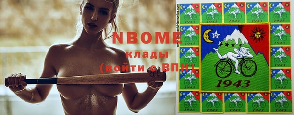 индика Нязепетровск