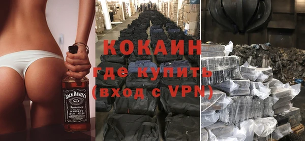 сатива Болохово