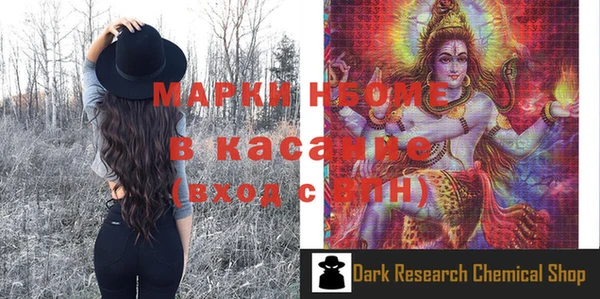 индика Нязепетровск