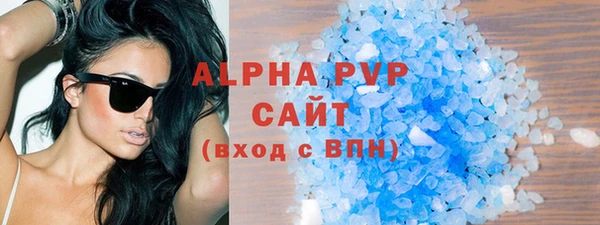 индика Нязепетровск