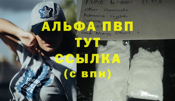 стаф Болотное