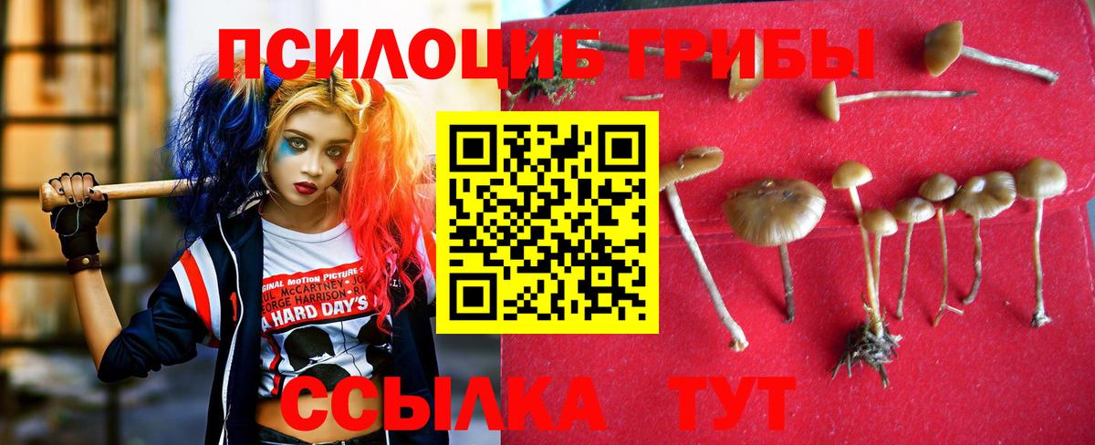 Галлюциногенные грибы Psilocybine cubensis  Лиски 