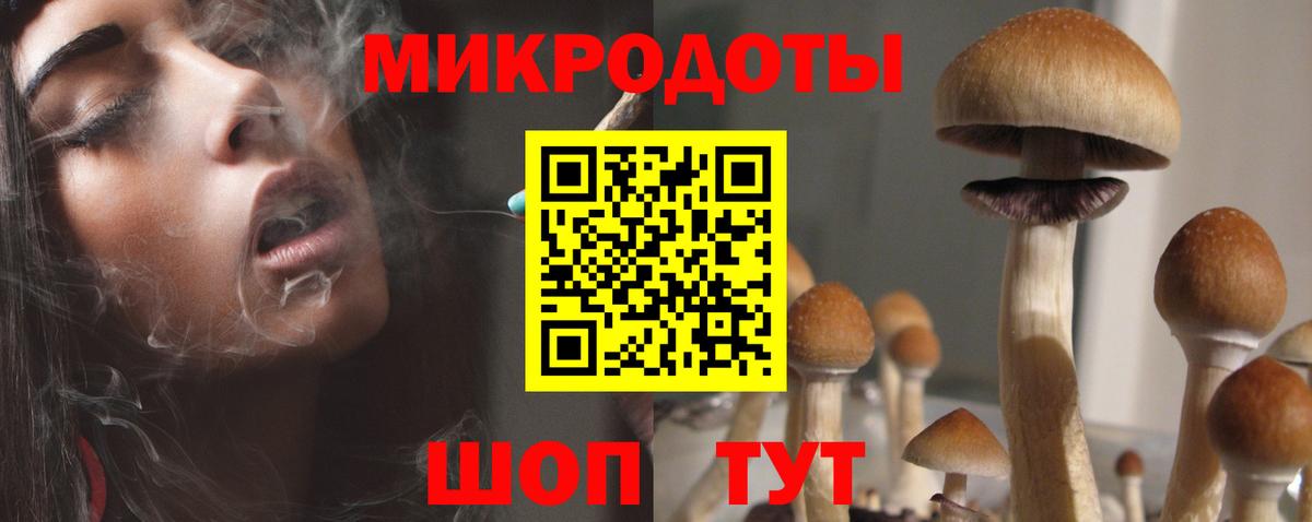 Лиски  Псилоцибиновые грибы прущие грибы  Вход с VPN  Галлюциногенные грибы мухоморы 